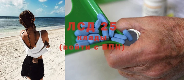ПСИЛОЦИБИНОВЫЕ ГРИБЫ Краснослободск