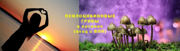 MESCALINE Коряжма