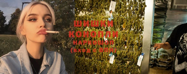 ПСИЛОЦИБИНОВЫЕ ГРИБЫ Краснослободск